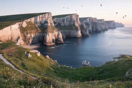 falaises-mer-prairie-sentier-аube
