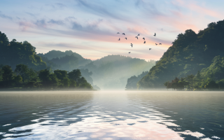 lac-montagnes-brume-oiseaux-lever-soleil