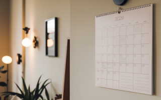mur-bureau-calendrier-plantes-lumiere